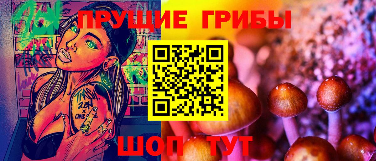 Галлюциногенные грибы Psilocybine cubensis Лангепас